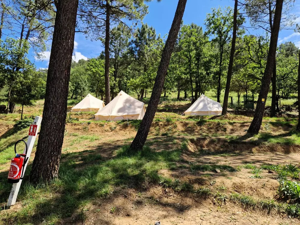 Camping La Pinède en Provence 3 étoiles★★★
