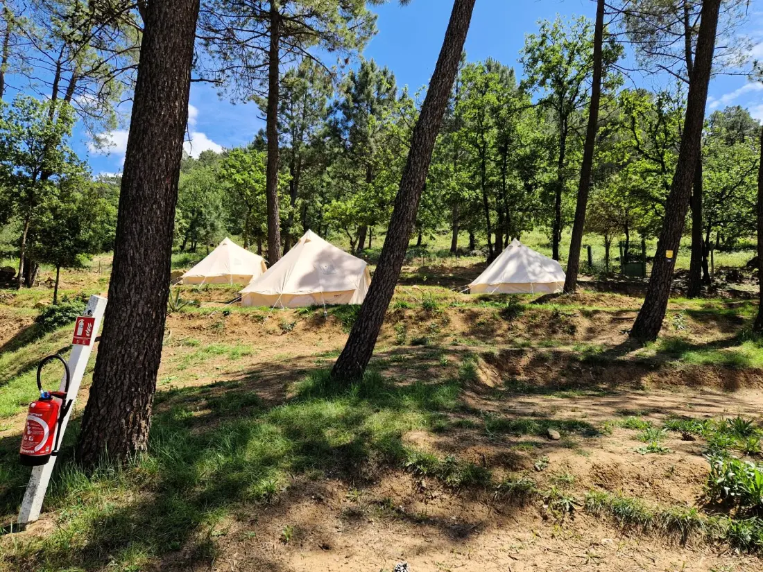 Camping La Pinède en Provence 3 étoiles★★★