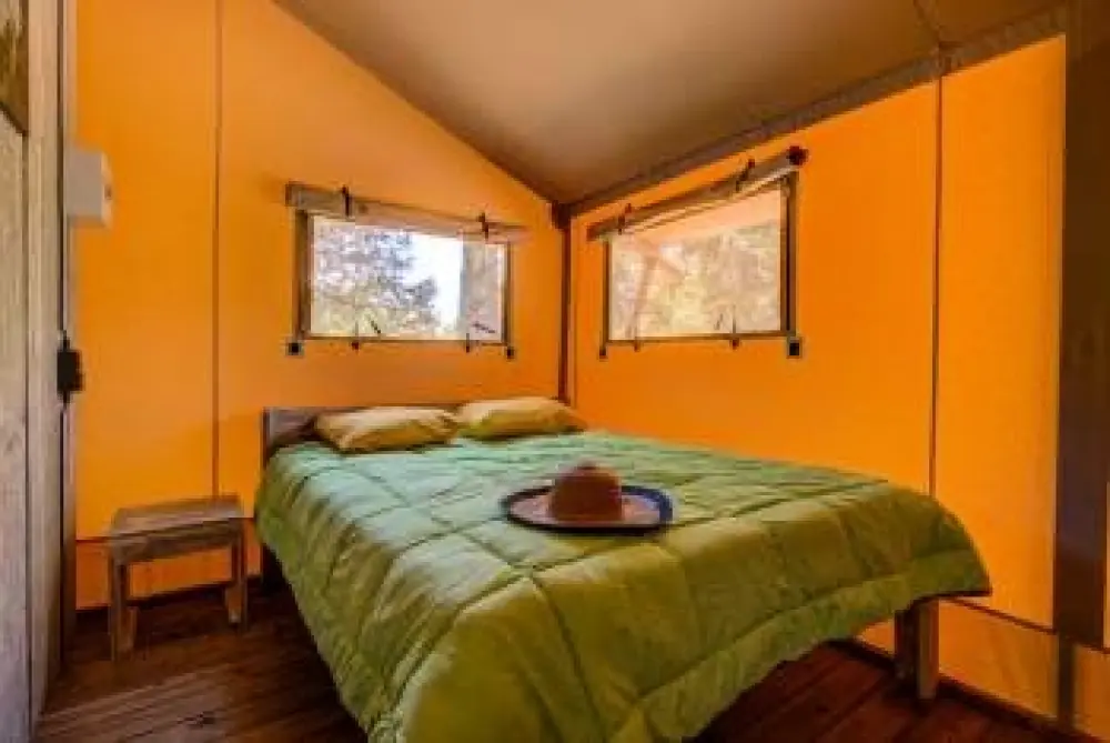 Camping La Pinède en Provence 3 étoiles★★★