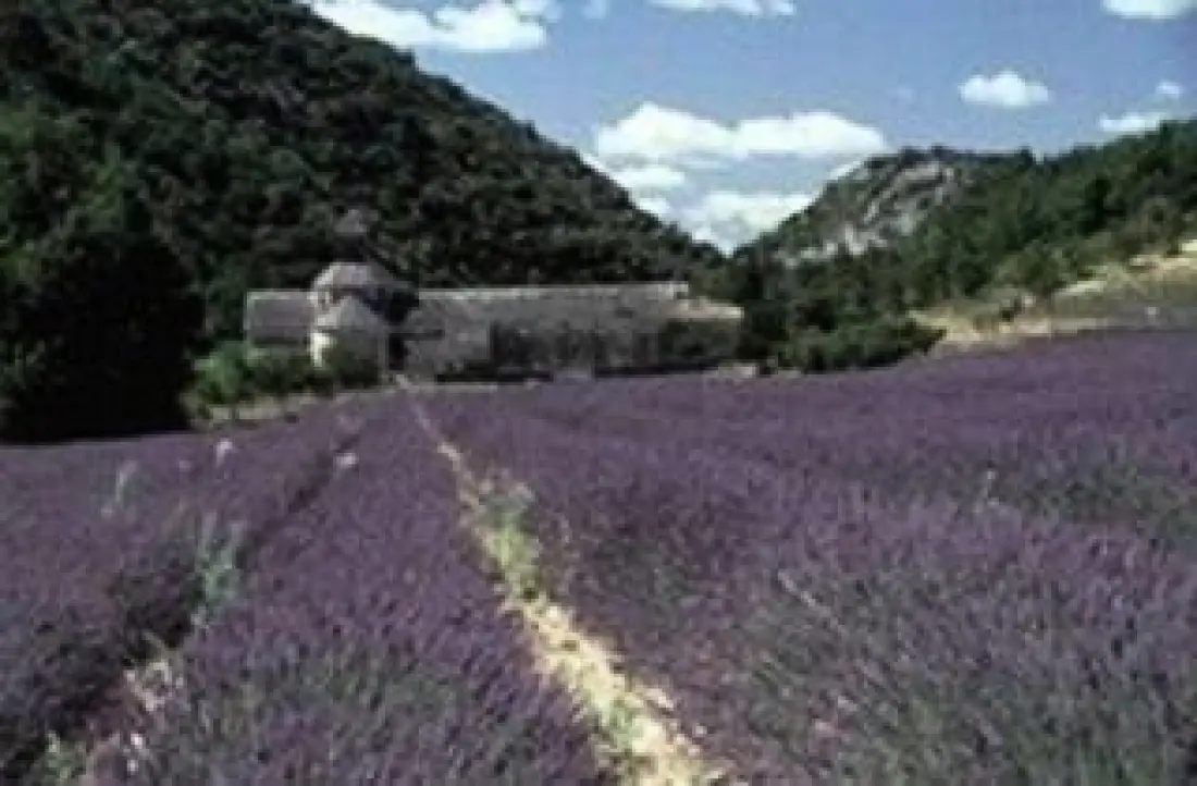 Camping La Pinède en Provence 3 étoiles★★★