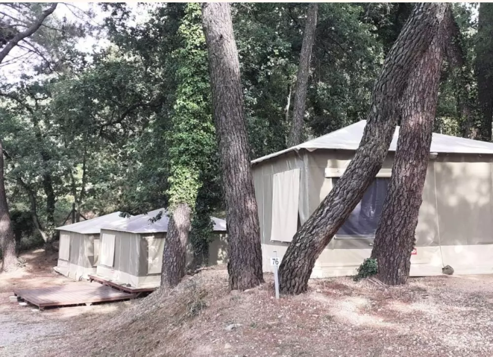 Camping La Pinède en Provence 3 étoiles★★★