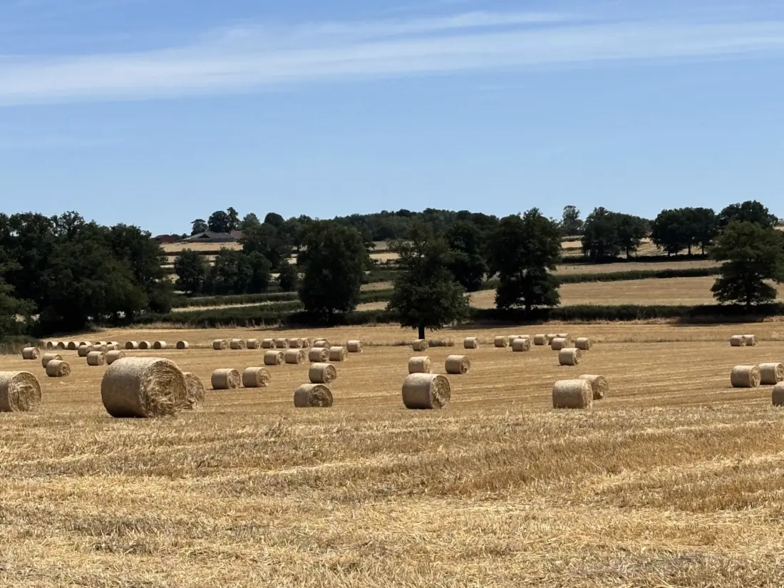 Maison de Vacances Monétay-sur-Loire 3