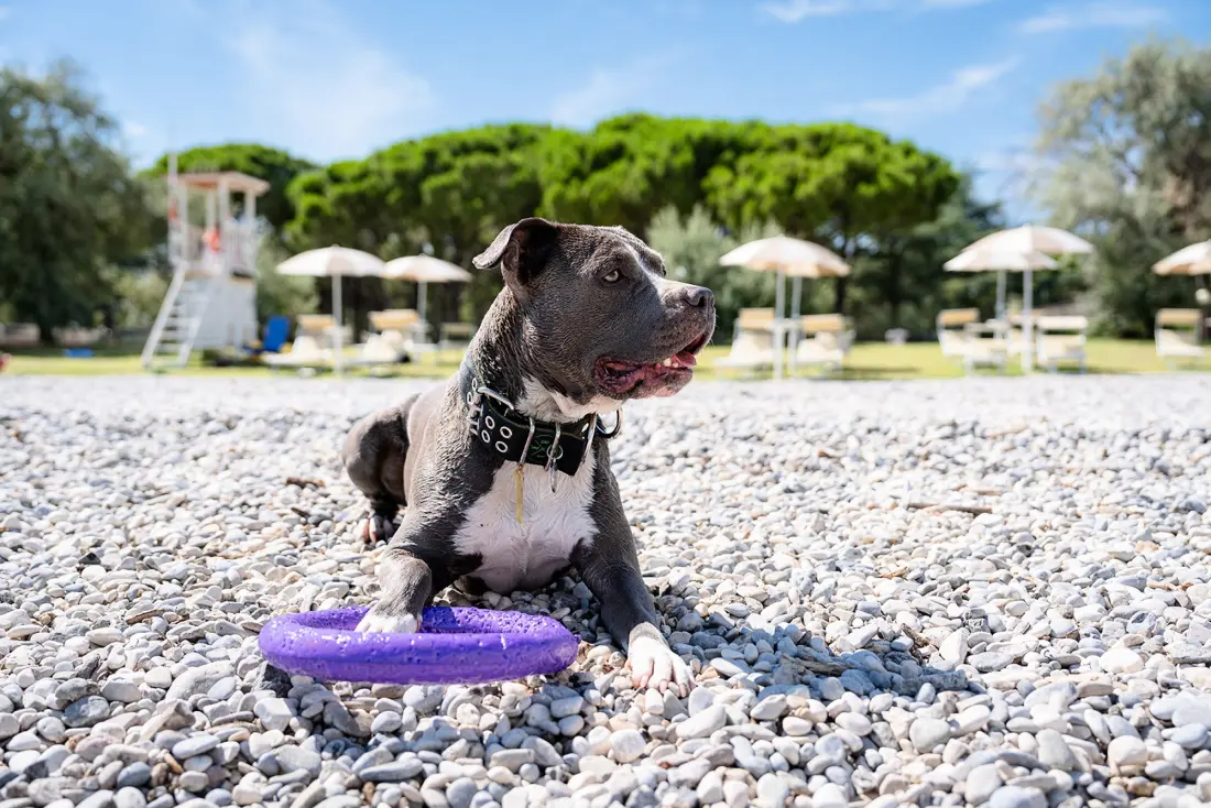 Club del Sole Marina Julia Family Collection 3 étoiles★★★