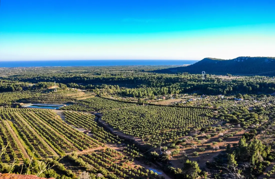 Camping La Torre del Sol 4 étoiles★★★★