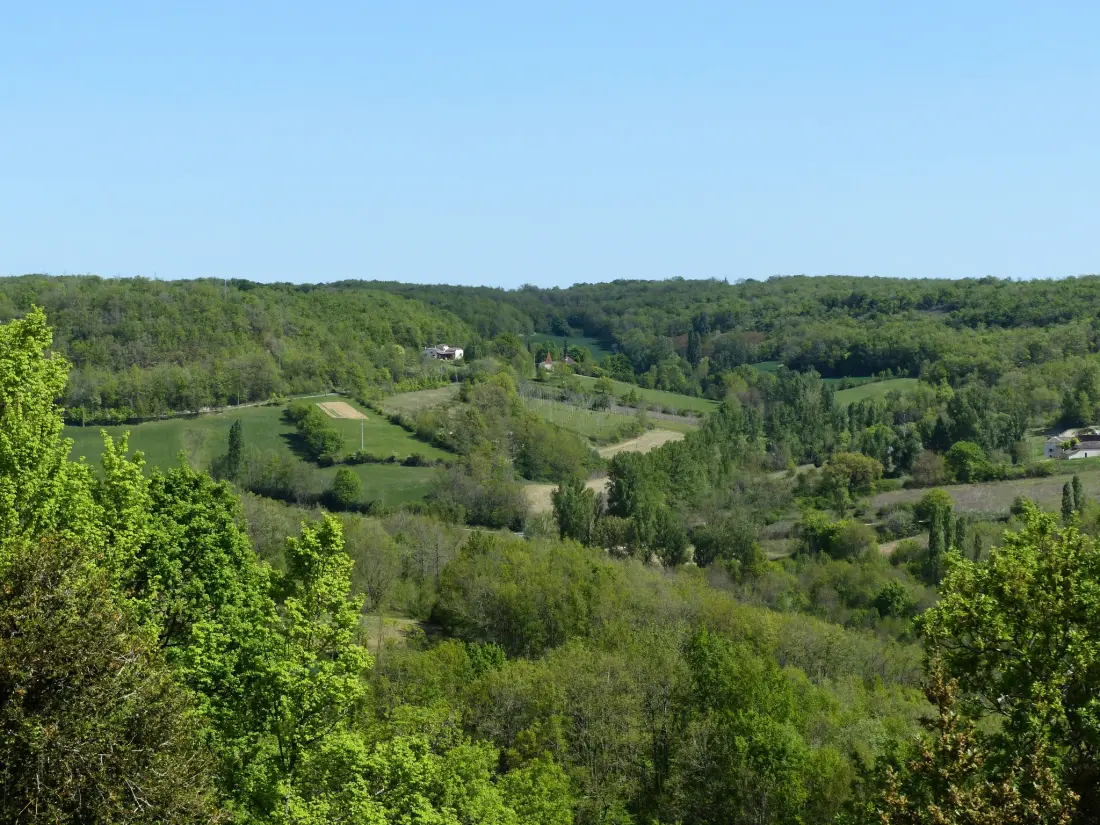 Maison de Vacances Montagudet