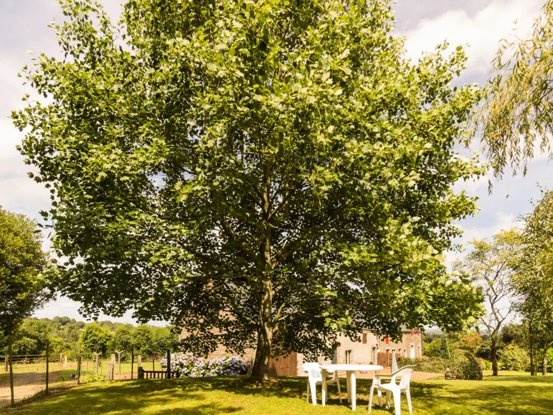 Maison de Vacances Montaigu-les-Bois 2
