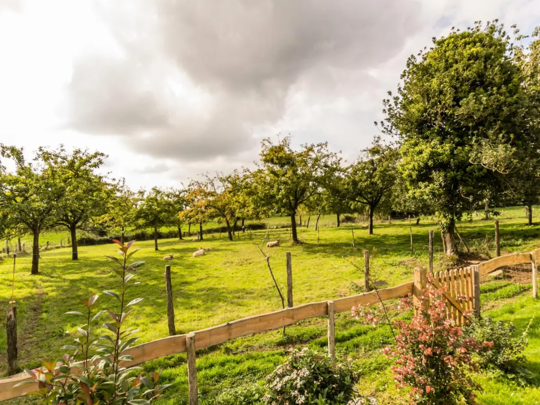 Maison de Vacances Montaigu-les-Bois 3