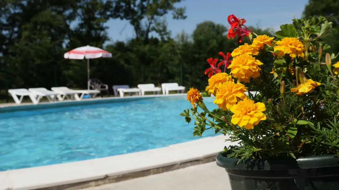 Flower Camping Les 3 Ours 3 étoiles★★★
