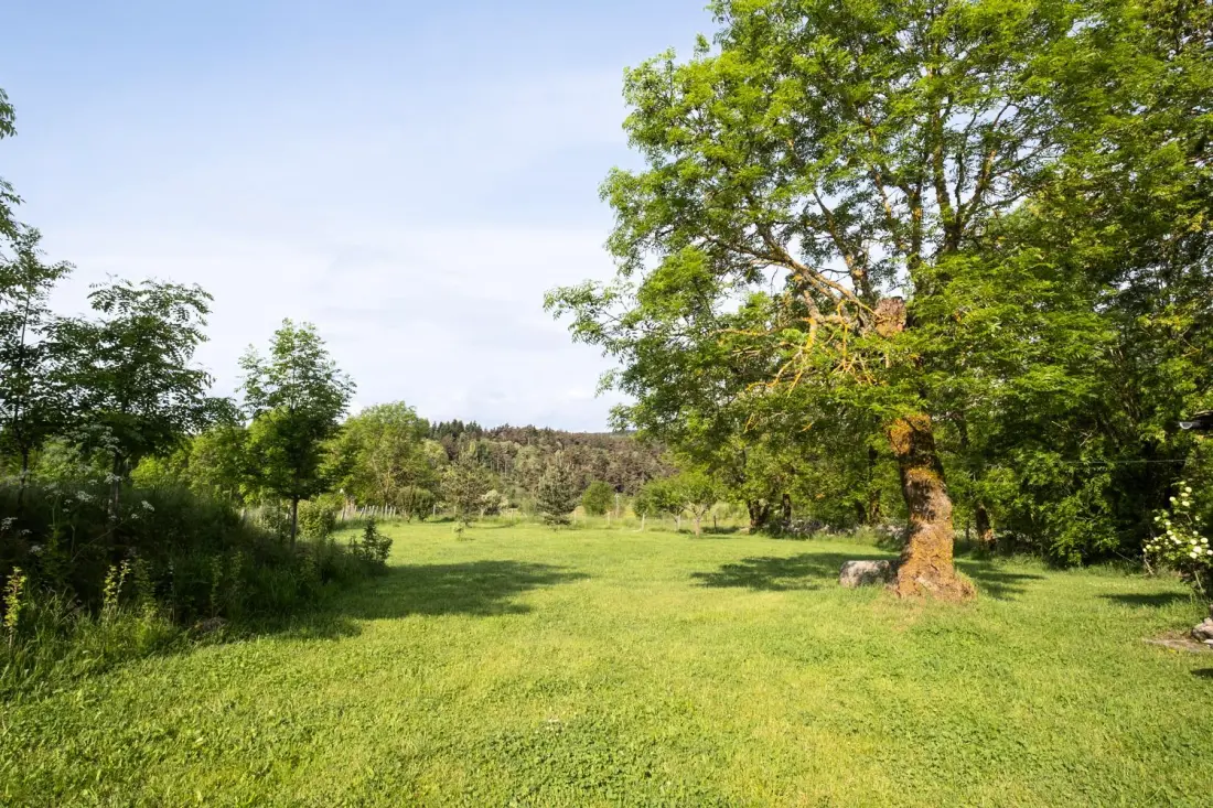 Gîte La campone 2/4 personnes 2 étoiles