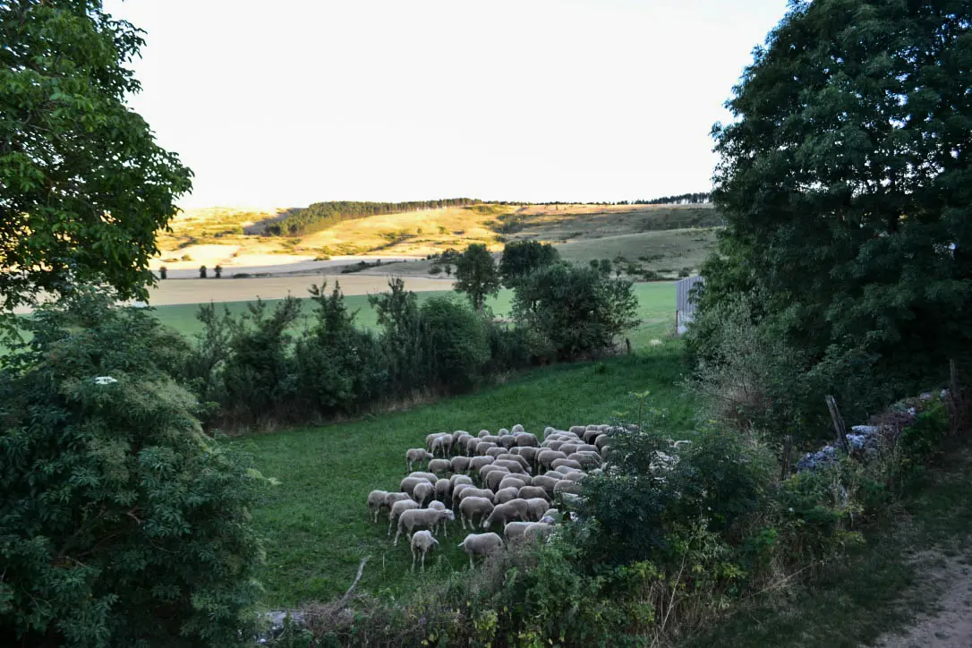 Gîte de France Gîtes de france 3 épis 5 personnes à mativet 3 épis