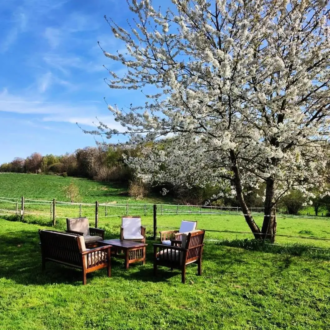 Gîte de France Gîtes de france® - le domaine du mesnil 4 épis