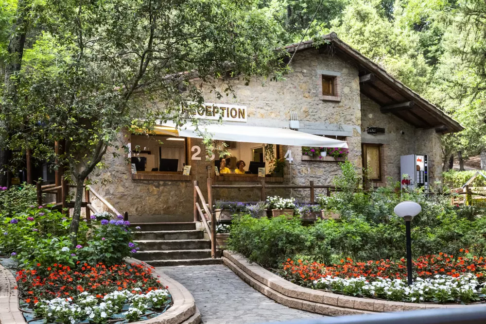 Camping Hu Montescudaio 4 étoiles★★★★