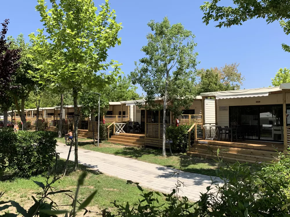 Camping Hu Montescudaio 4 étoiles★★★★