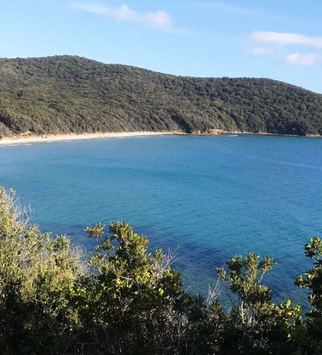 Camping Hu Montescudaio Village