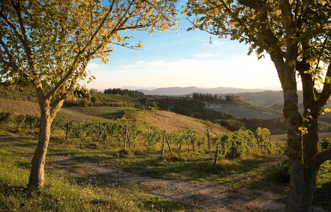 Résidence Borgo Filicardo