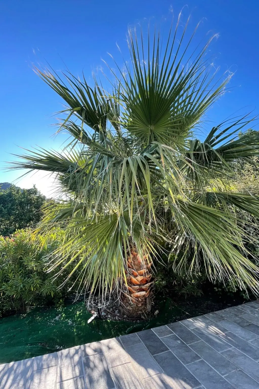 Maison de Vacances Montferrat