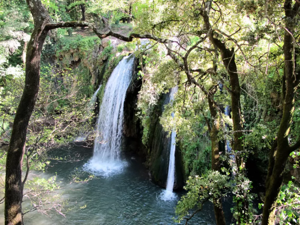 Maison de Vacances Montfort