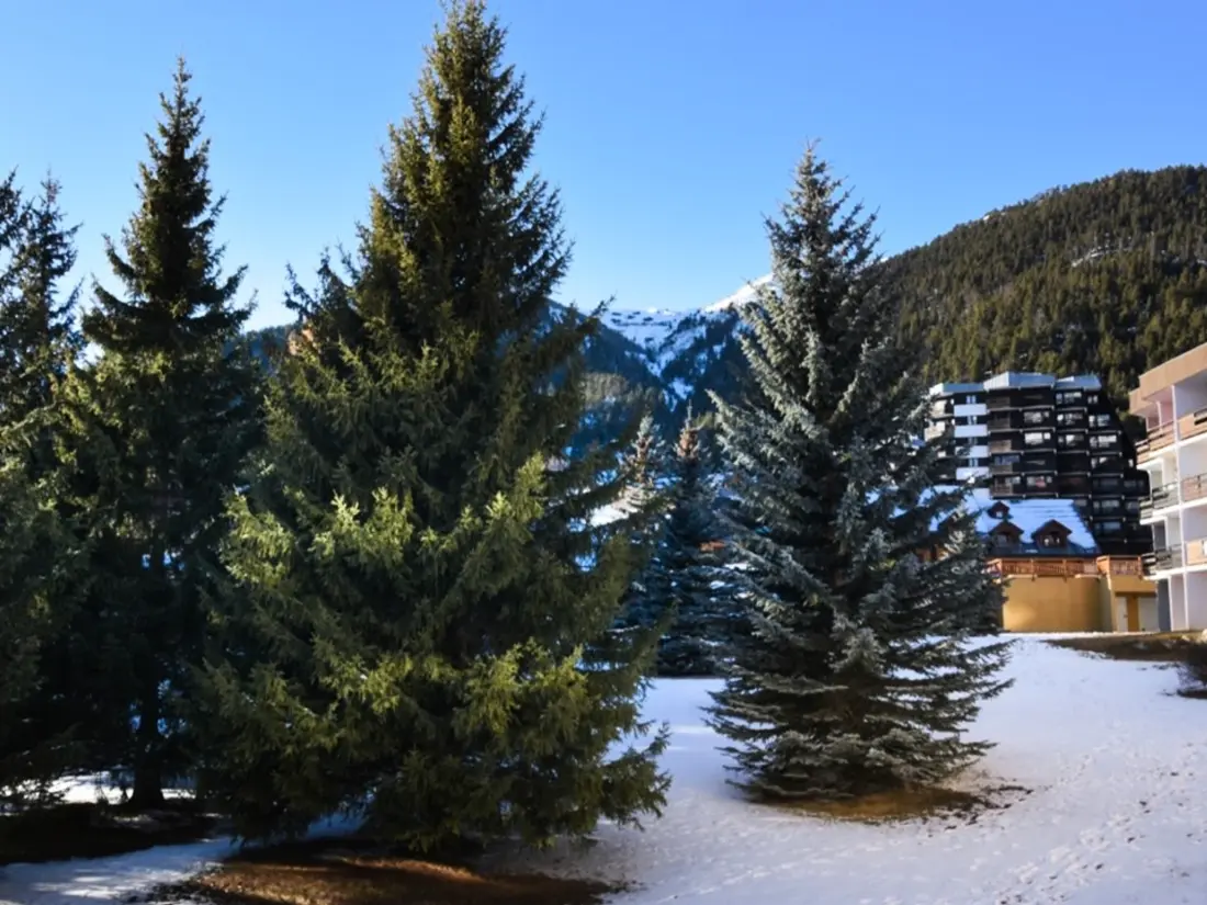 Location de Vacances Montgenèvre 418