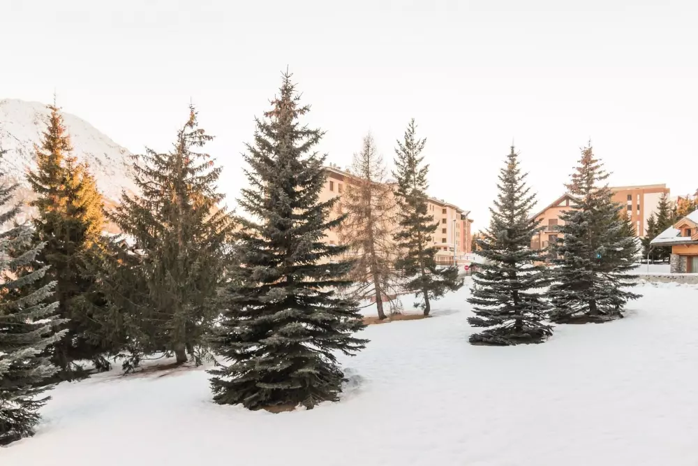 Résidence Renardiere 1