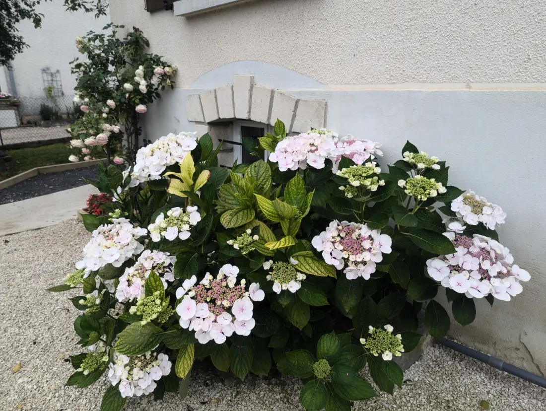 Gîte de France L'echappée dervoise 3 épis