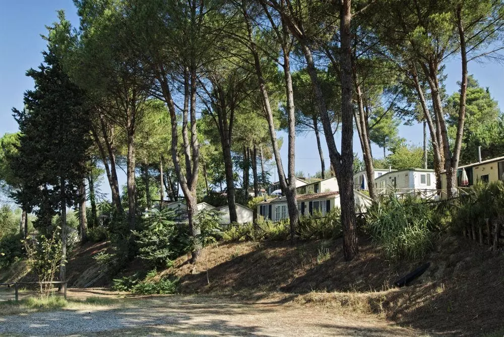 Toscana Holiday Village 3 étoiles★★★