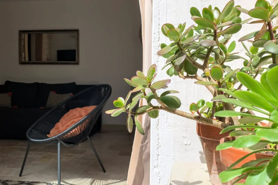 Home Chic Home - La Terrasse Bazille
