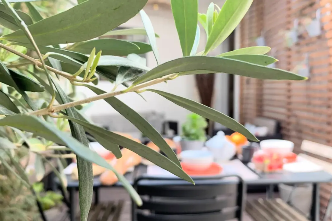 Home Chic Home - La Terrasse Bazille