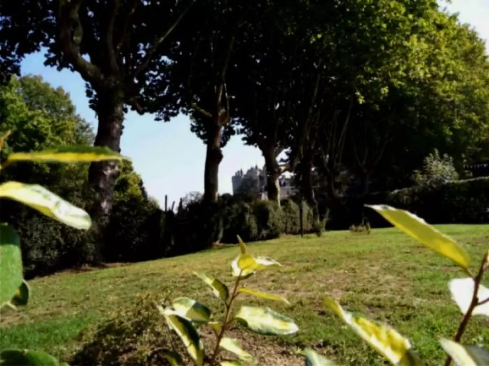 Camping Paradis Les Nobis d'Anjou 41 étoiles★