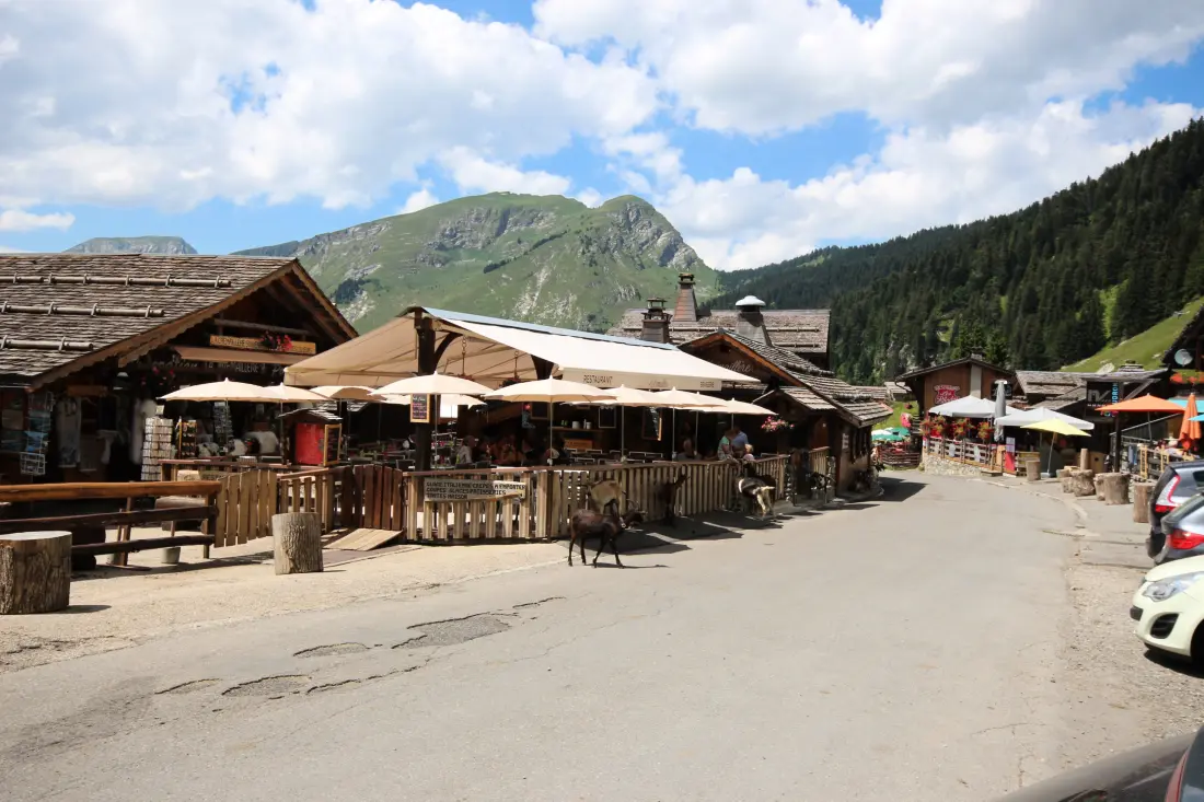 Appartements à Montriond