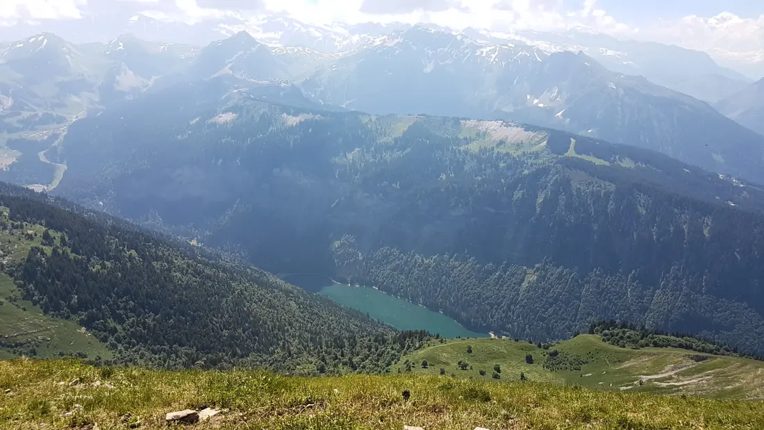 Appartements à Montriond