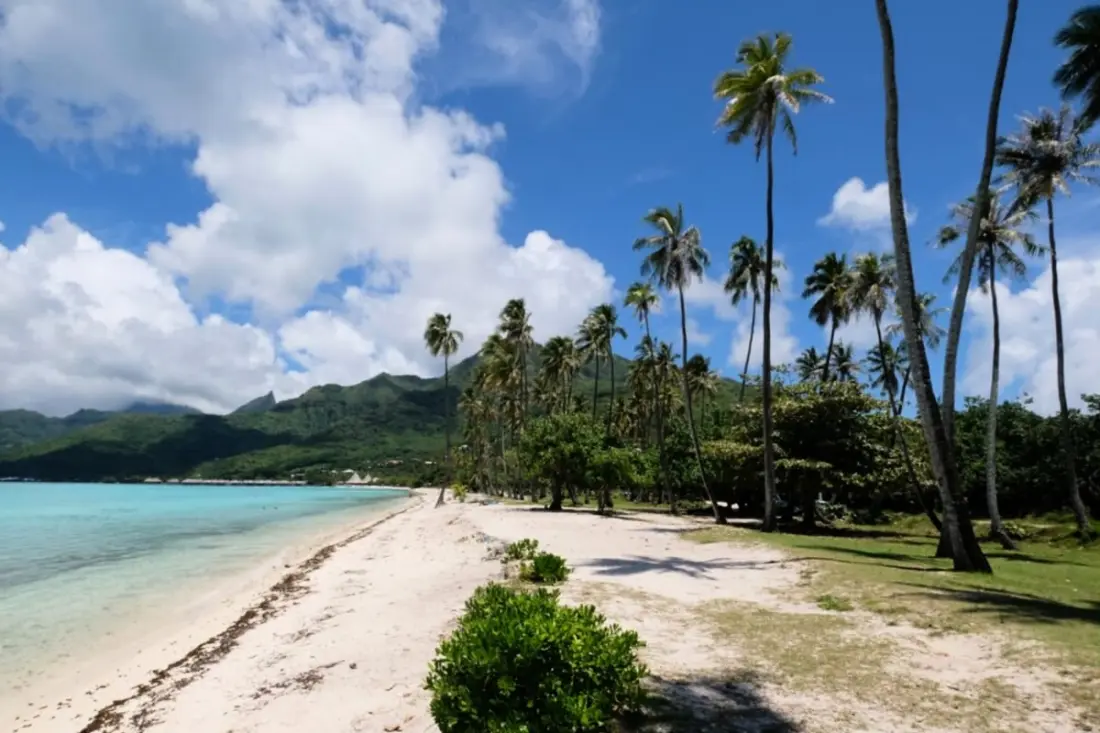 Fare Vainina – Plage Privée - Golf