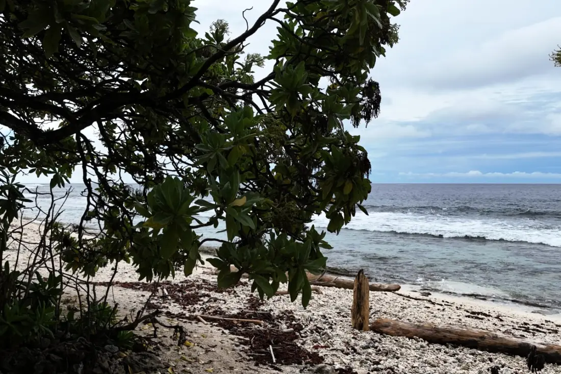 Fare Vainina – Plage Privée - Golf