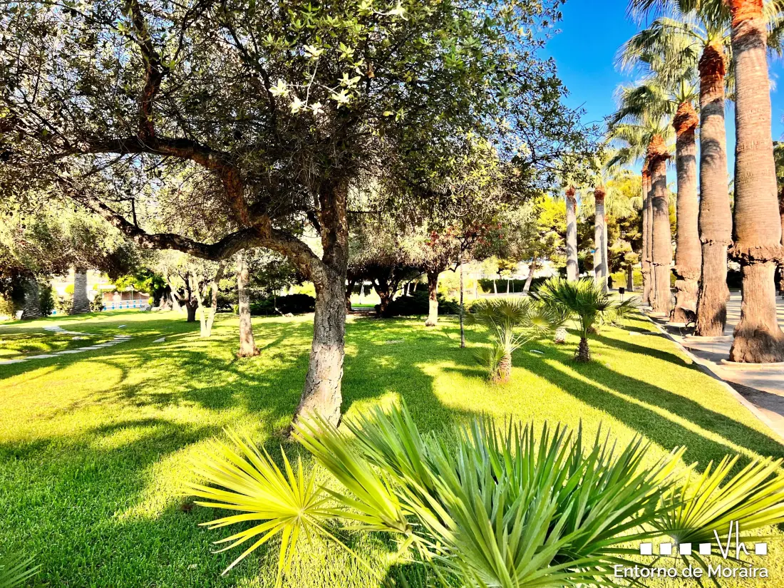 Location de Vacances Moraira 271