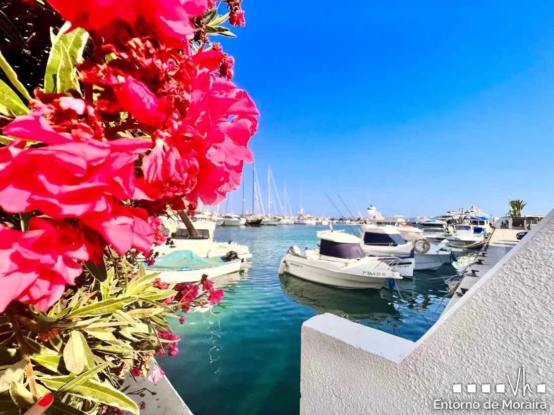 Maison de Vacances Moraira 273