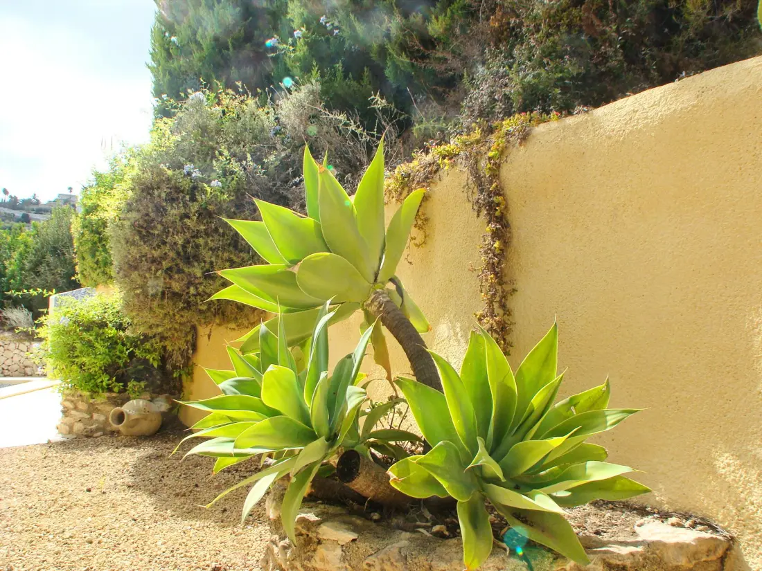 Maison de Vacances Moravit 10
