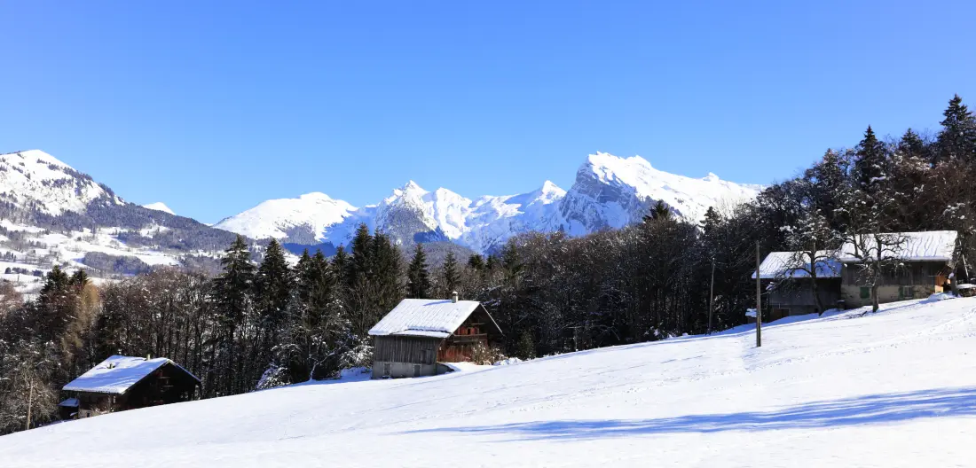 Appartements à Morillon