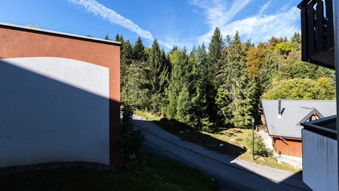 Appartements à Morillon