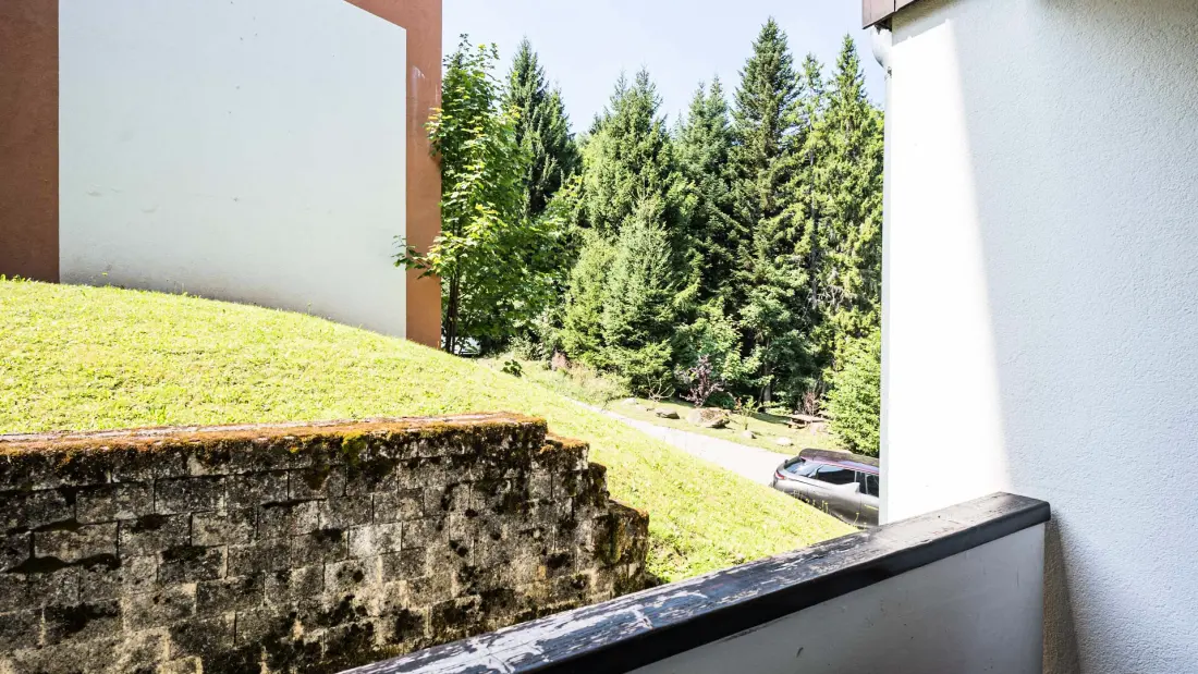 Appartements à Morillon