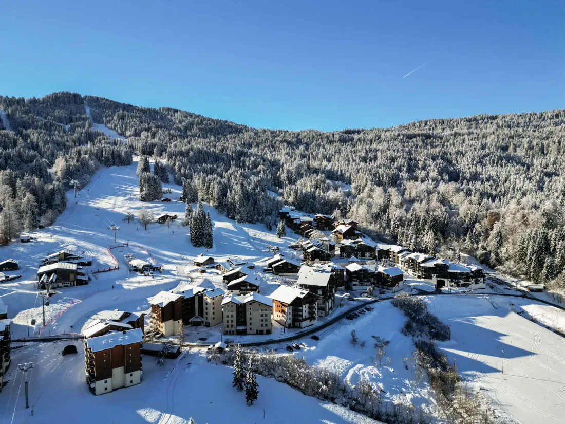Location de Vacances Morillon 1100 10