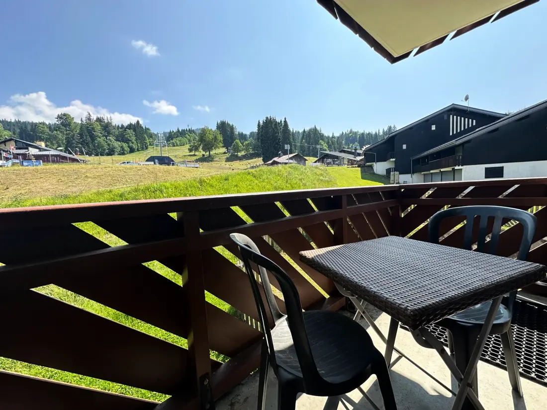 Location de Vacances Morillon 1100 13