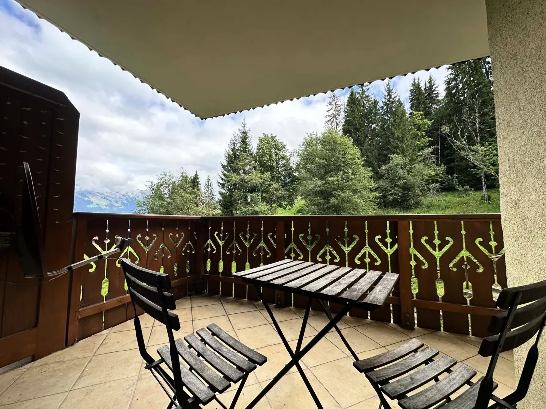 Location de Vacances Morillon 1100 15
