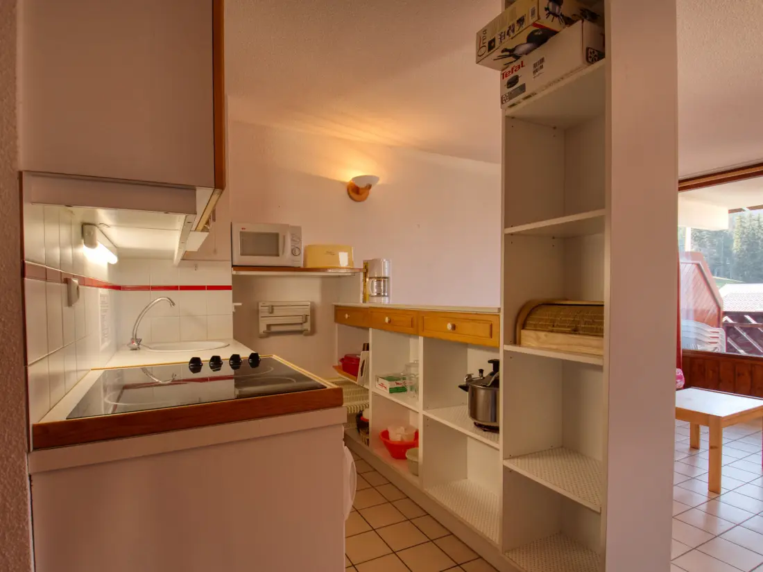Location de Vacances Morillon 1100 18