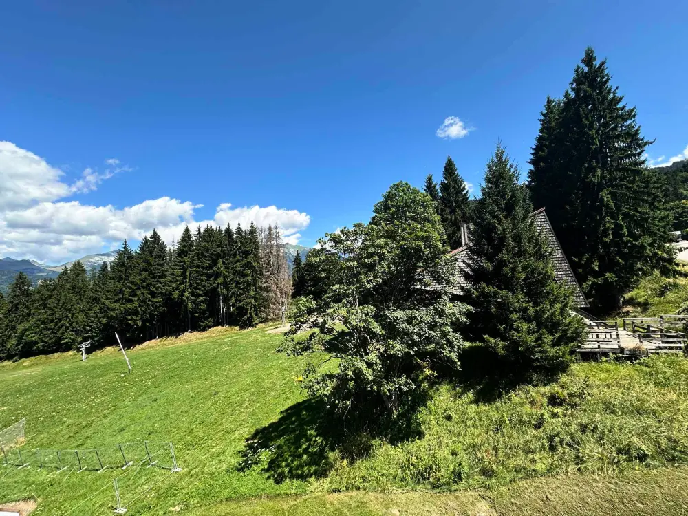 Location de Vacances Morillon 1100 21