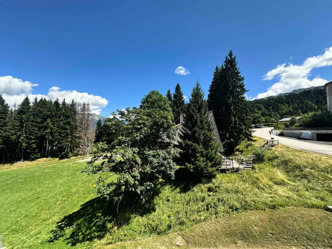 Location de Vacances Morillon 1100 21
