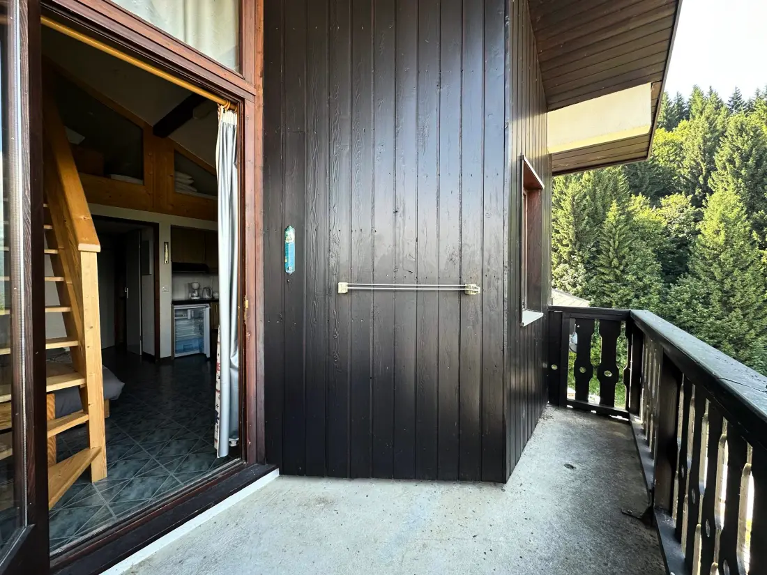 Location de Vacances Morillon 1100 27