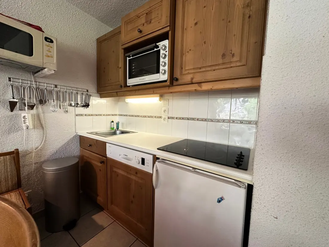 Location de Vacances Morillon 1100 29