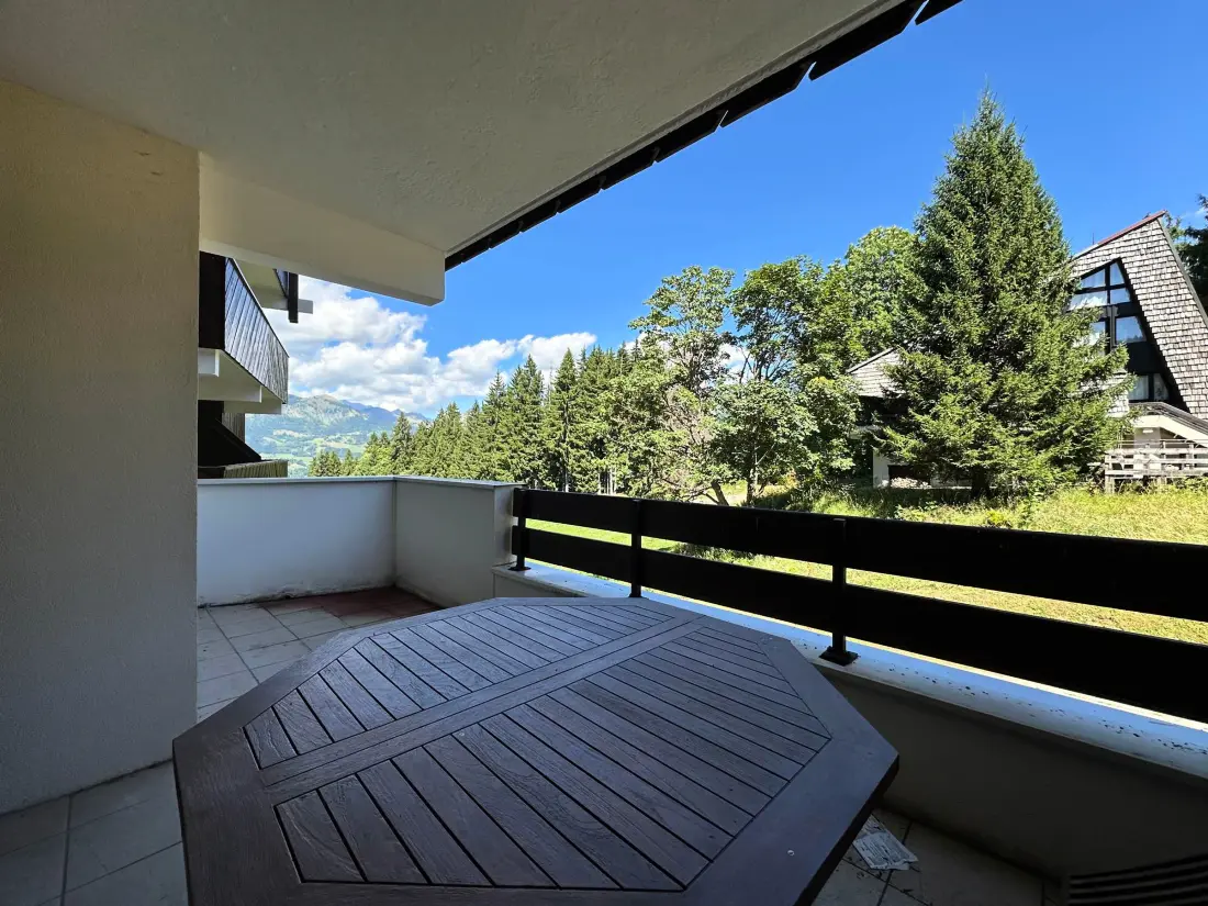 Location de Vacances Morillon 1100 29