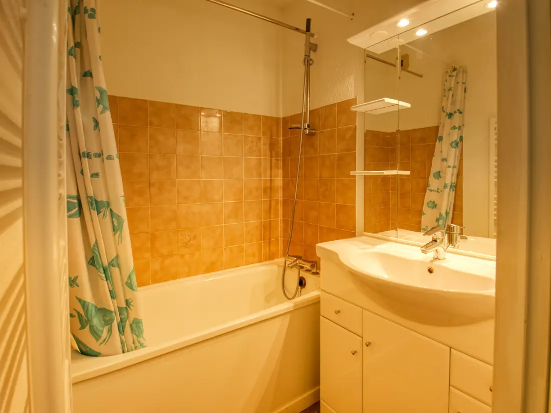 Location de Vacances Morillon 1100 3