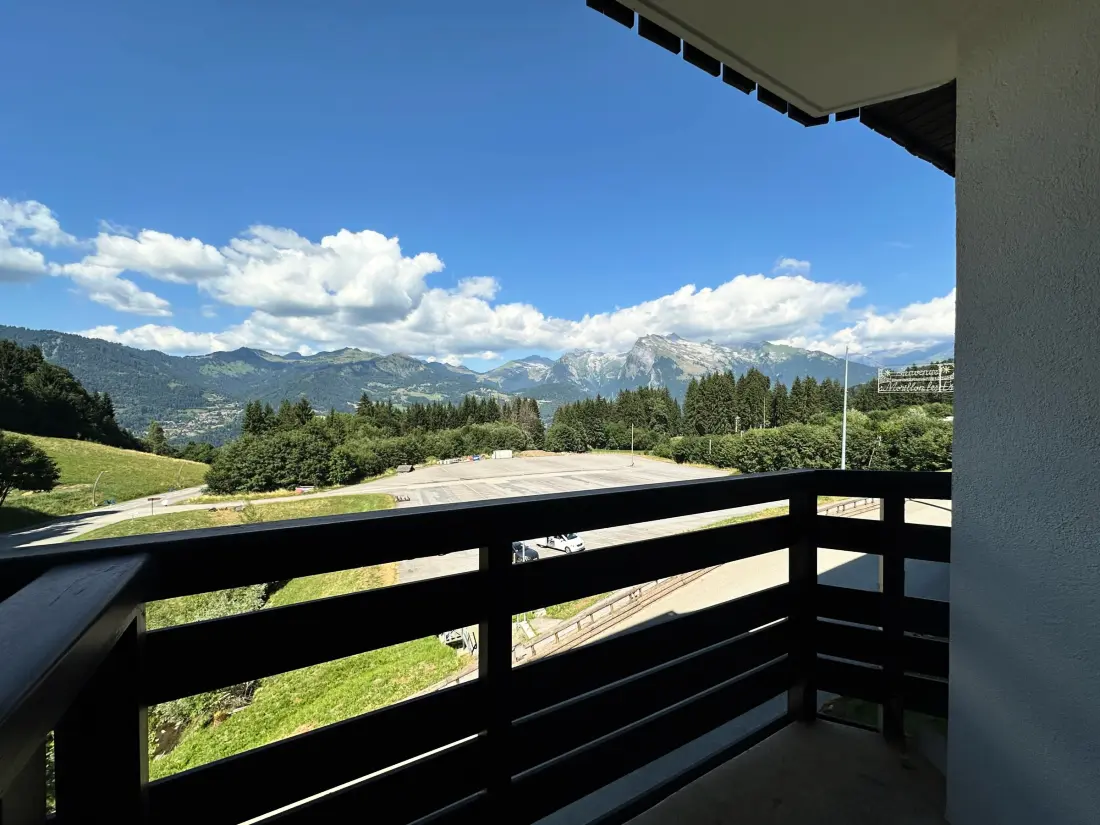 Location de Vacances Morillon 1100 3
