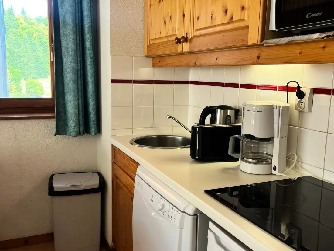 Location de Vacances Morillon 1100 36